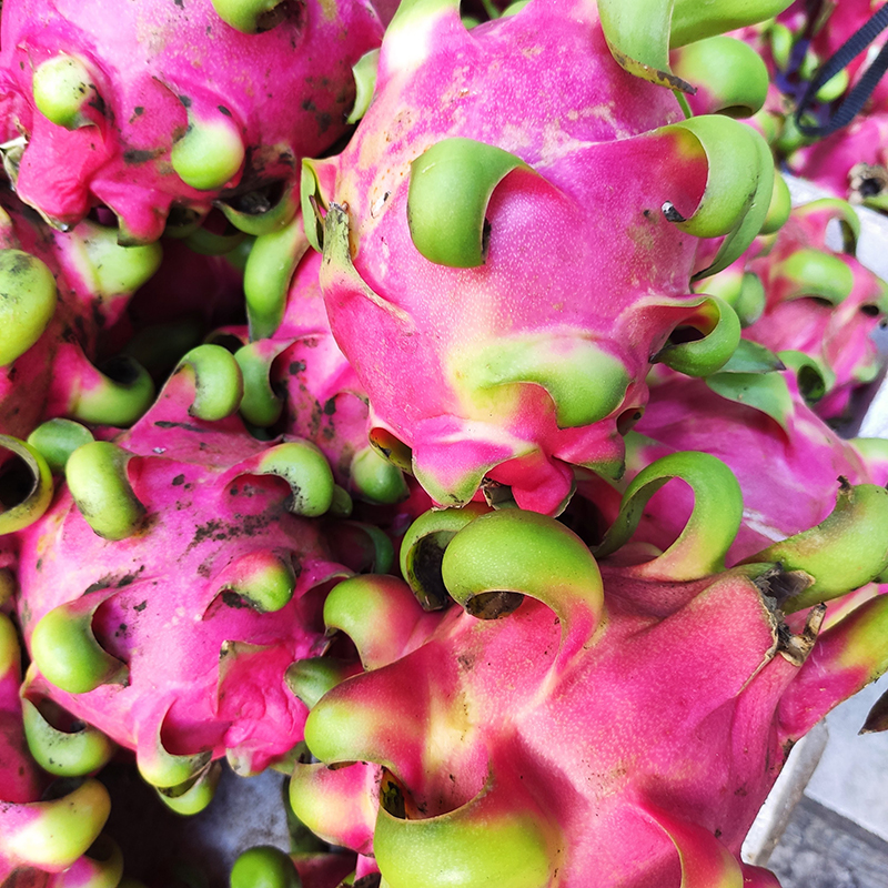 Thanh long ruột đỏ (1 trái)